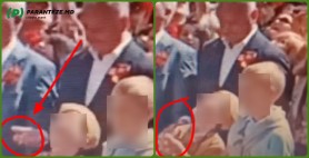 VIDEO // Moment penibil de 9 mai: Dodon găinățat de un porumbel s-ar șterge de propriul lui copil